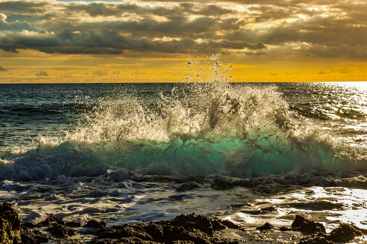 wave  crashing  beach free photo