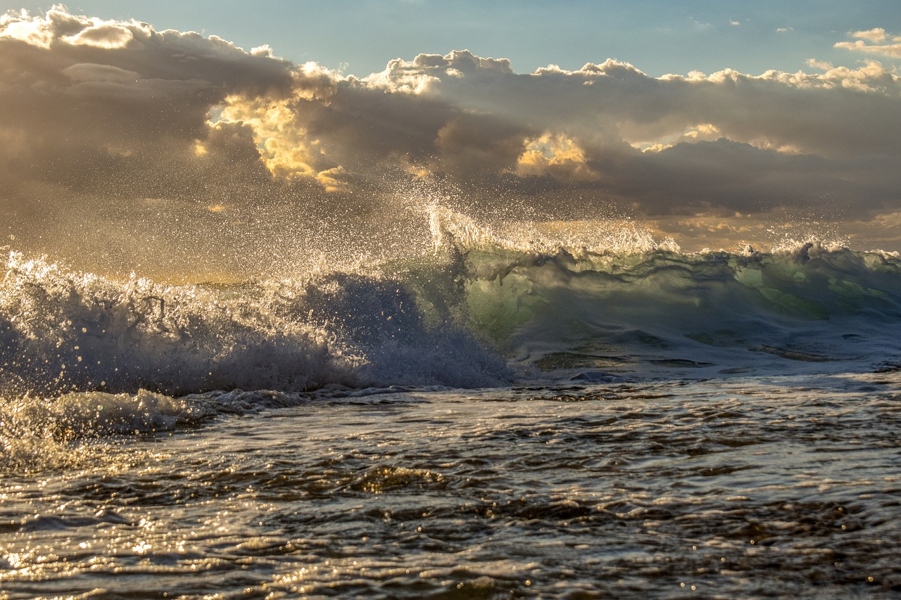 wave  crashing  beach free photo