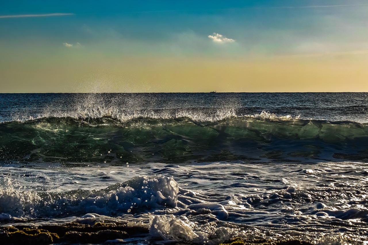 wave  crashing  beach free photo