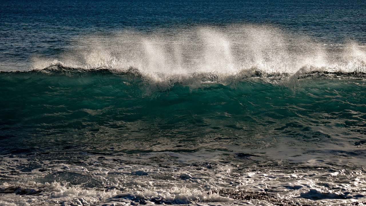 wave  surf  water free photo