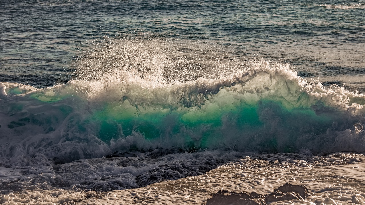 wave  crashing  coast free photo