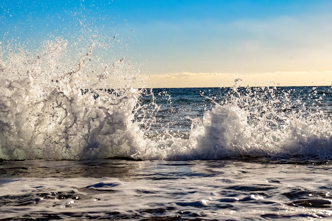 wave  crashing  water free photo