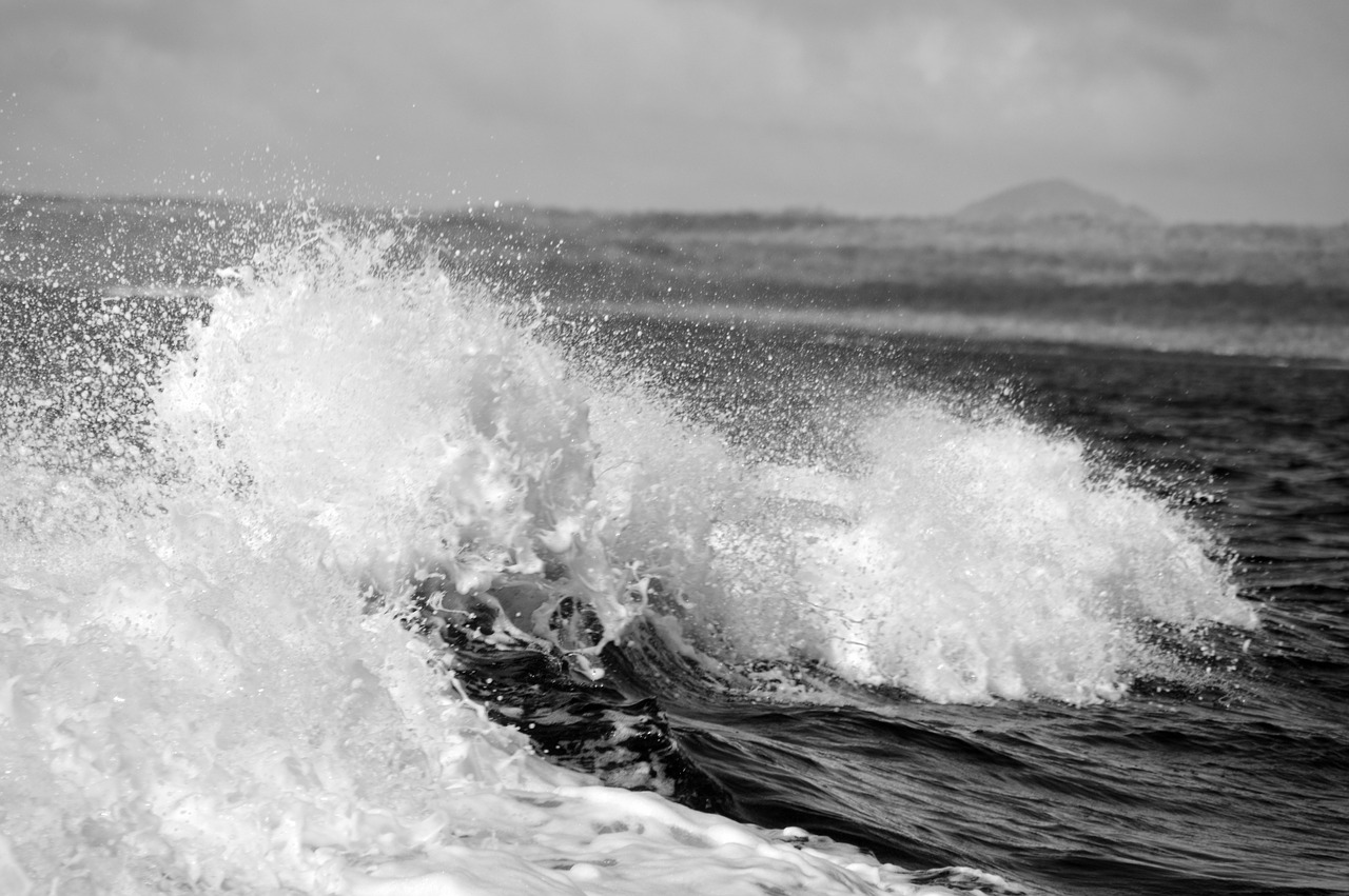 wave  black and white  breaking free photo