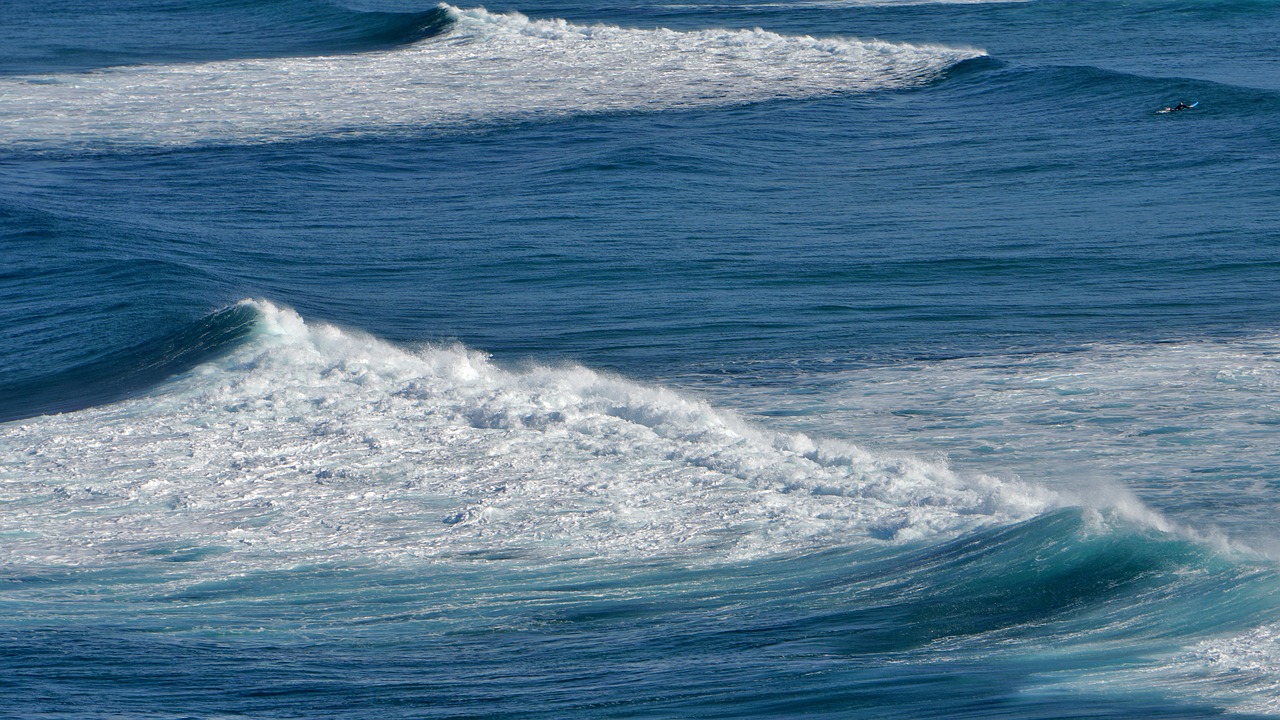 wave  surf  sea free photo
