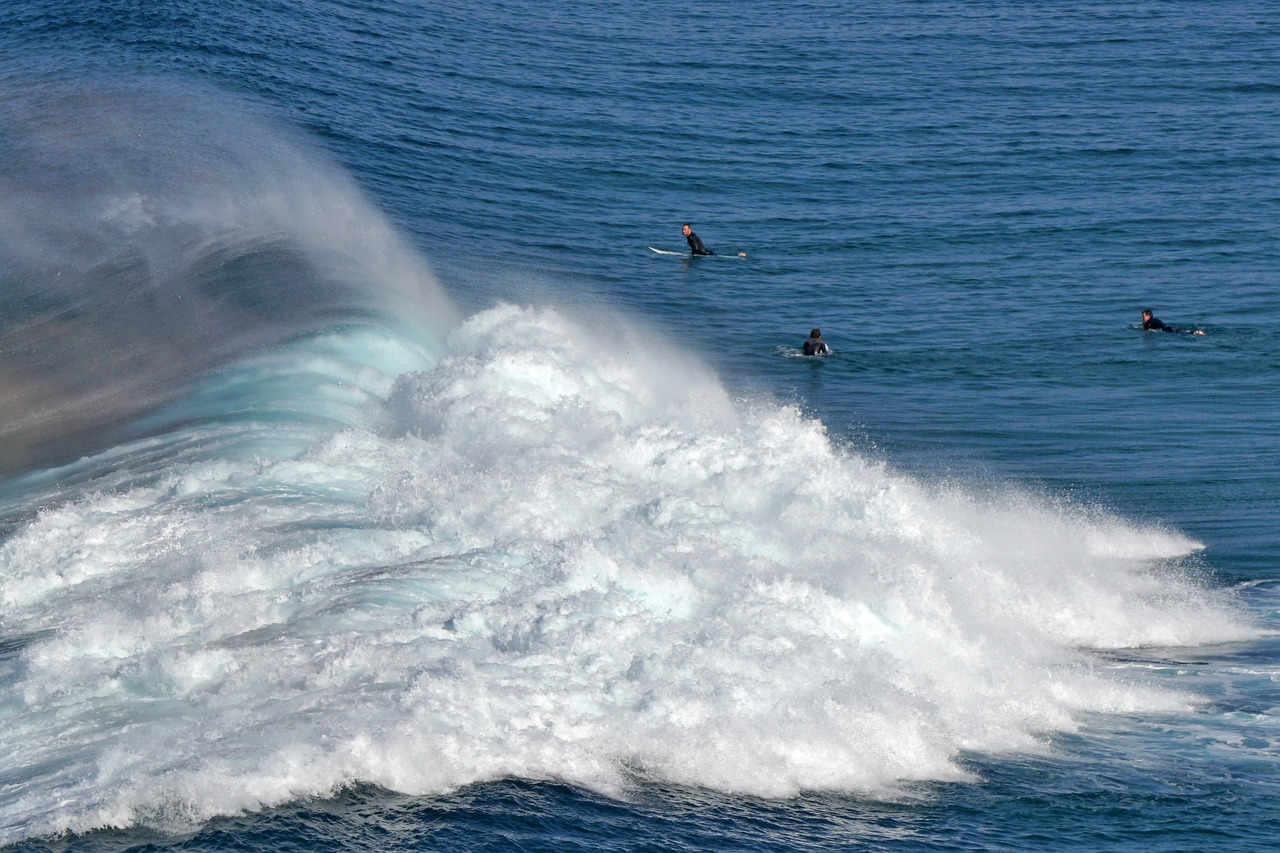 wave  surf  sea free photo