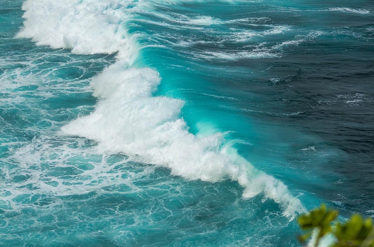 wave  water  ocean free photo