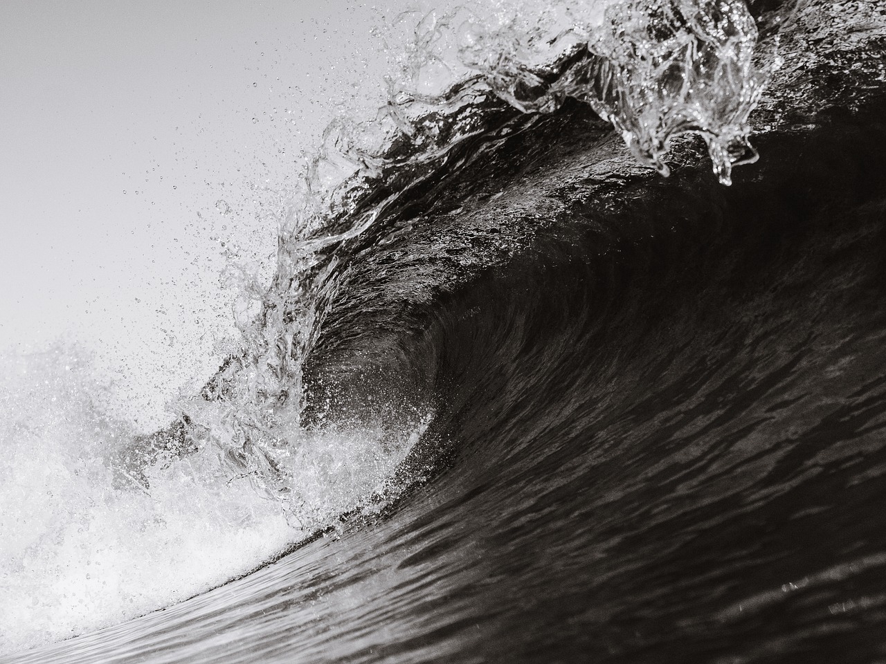 wave  surf  shorebreak free photo