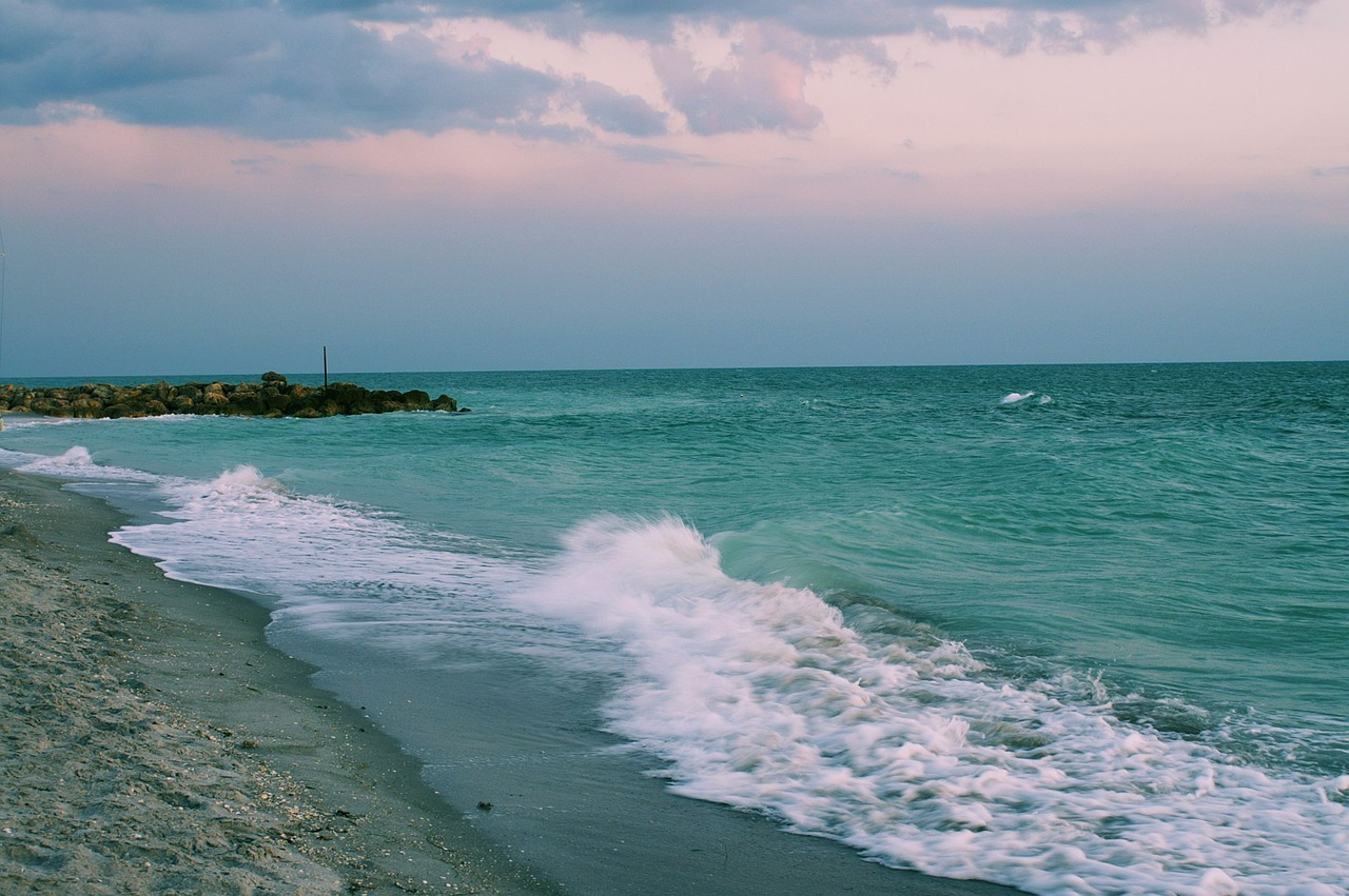 wave beach water free photo