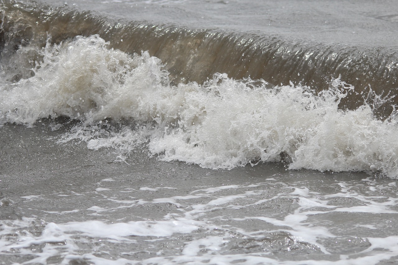 wave water sea free photo