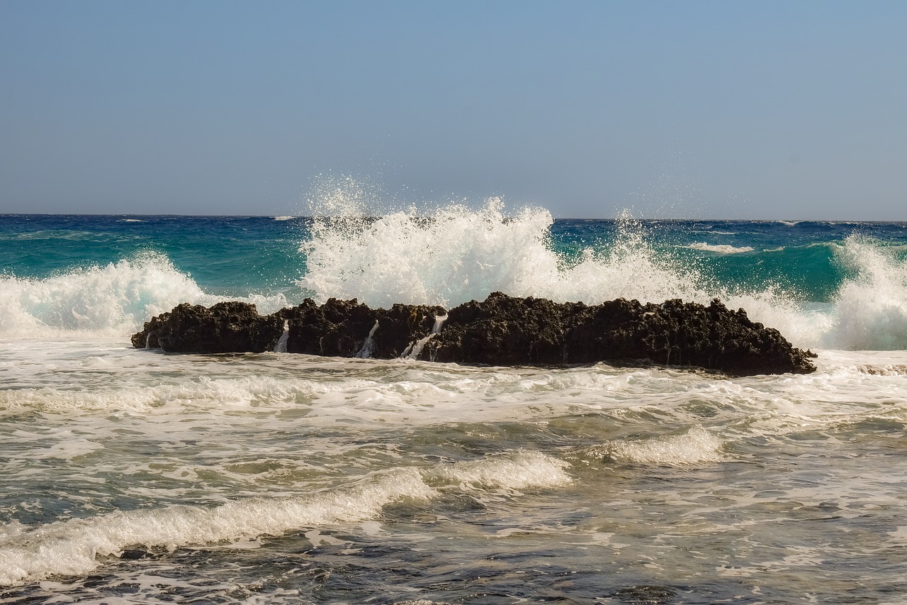 wave  smashing  sea free photo