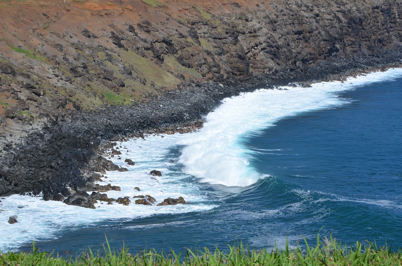 wave  turquoise  sea free photo