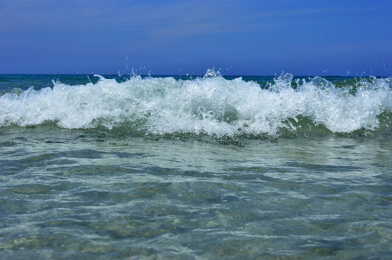 wave  sea  water free photo