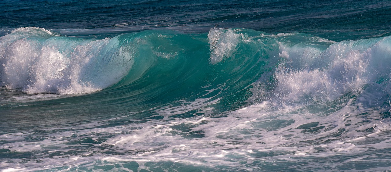 wave  splash  water free photo