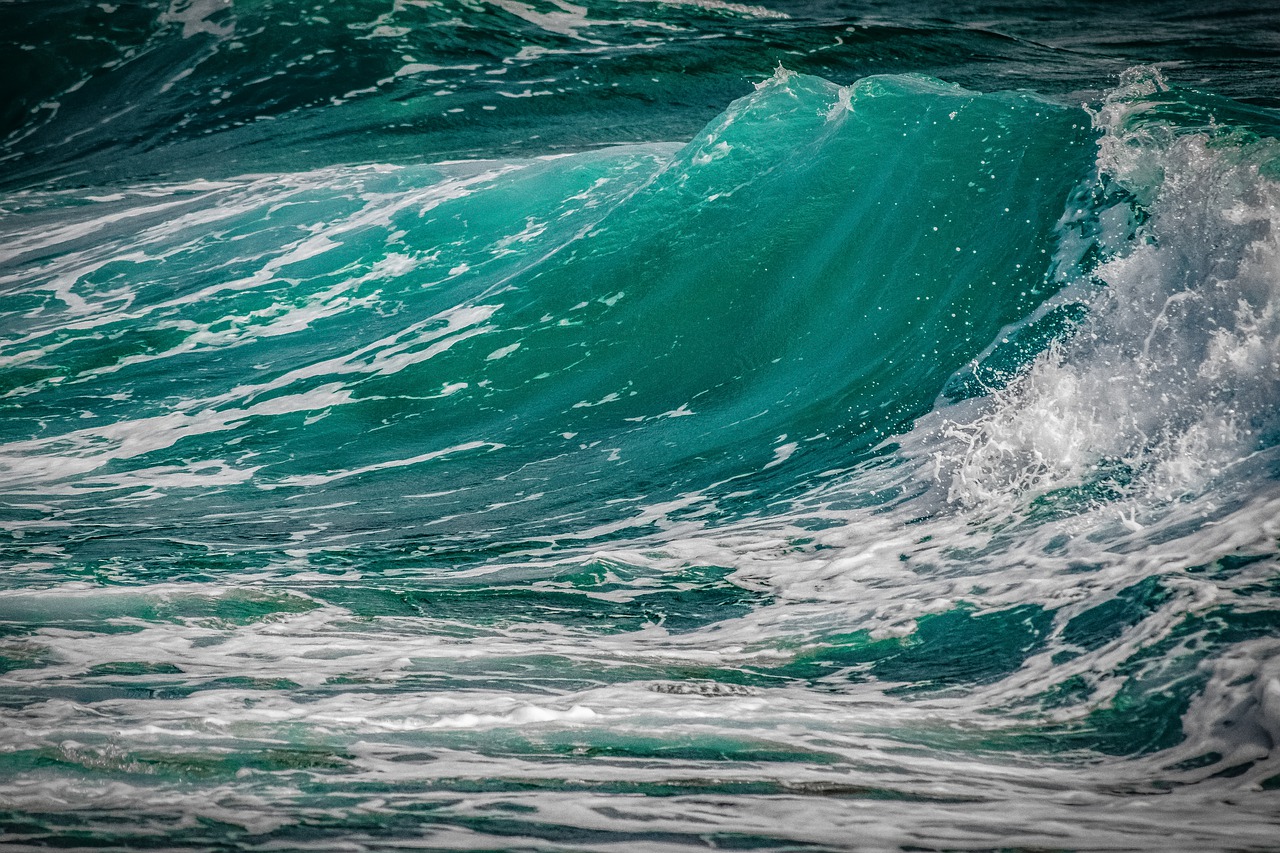 wave  surf  turquoise free photo