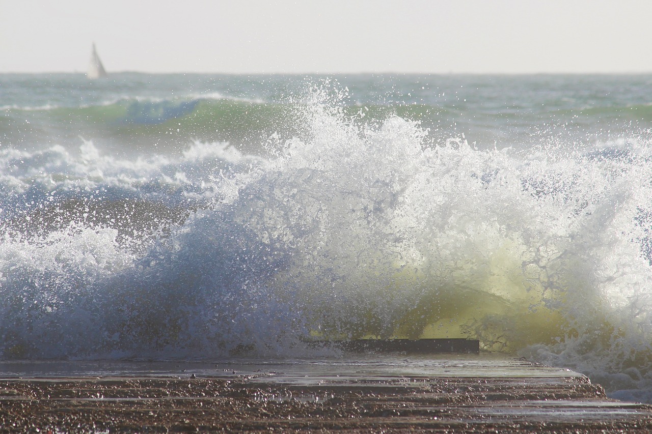 wave sea surf free photo