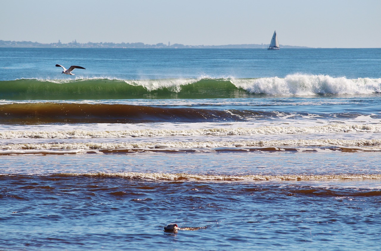 wave beach sailing boat free photo