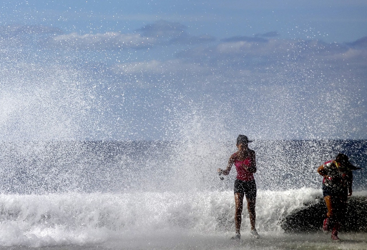 wave water sea free photo