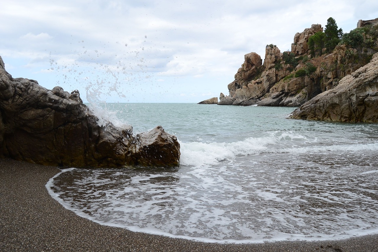 wave beach ocean free photo