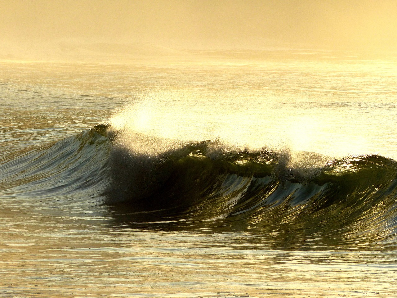 wave dawn ubatuba free photo