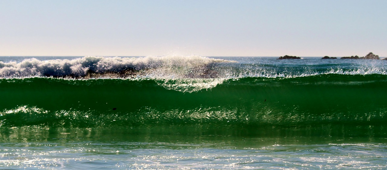 wave spray sea free photo