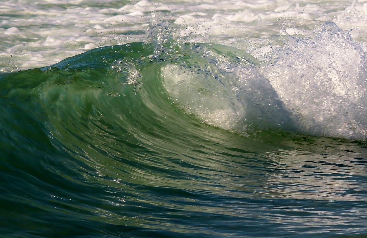 wave spray sea free photo