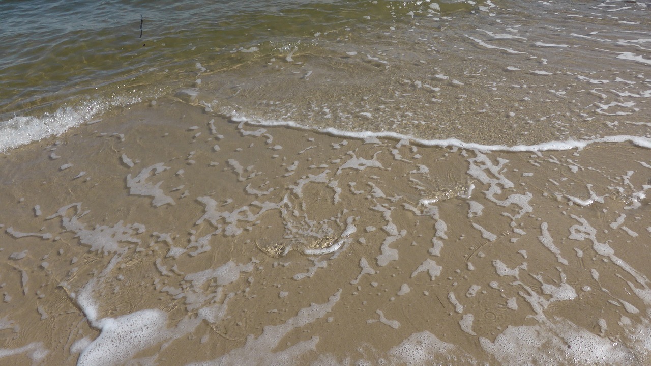 wave north sea beach free photo