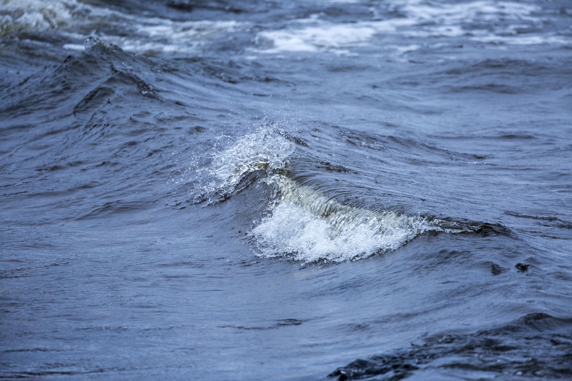 wave beach sea free photo