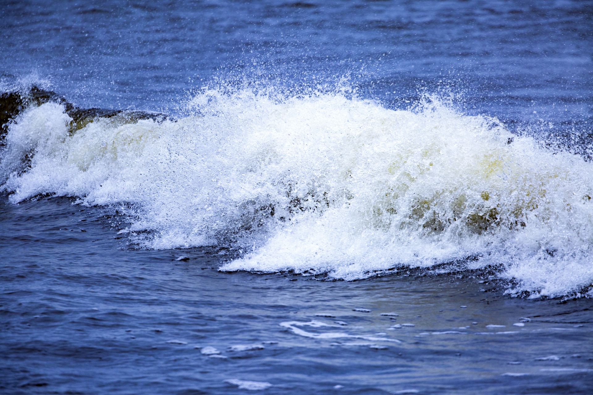 wave beach sea free photo