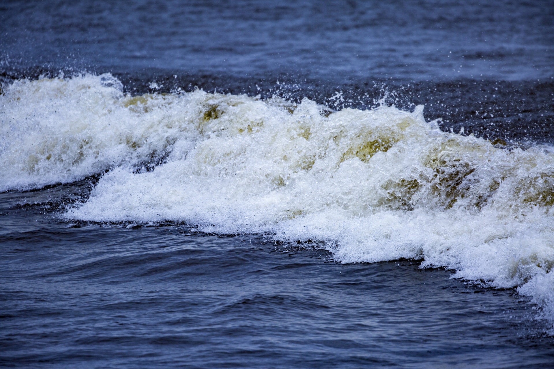 wave beach sea free photo