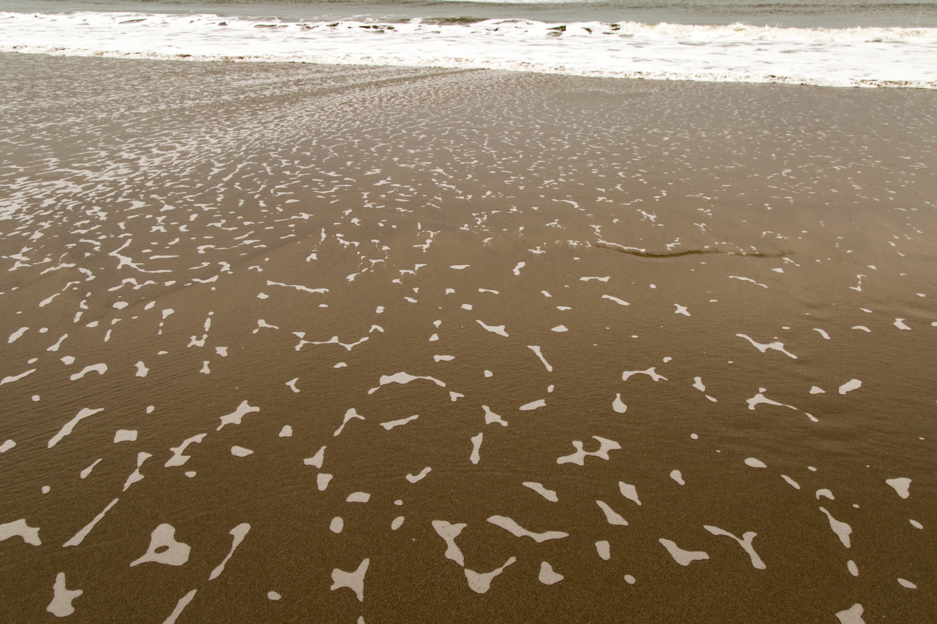 wave beach sea free photo