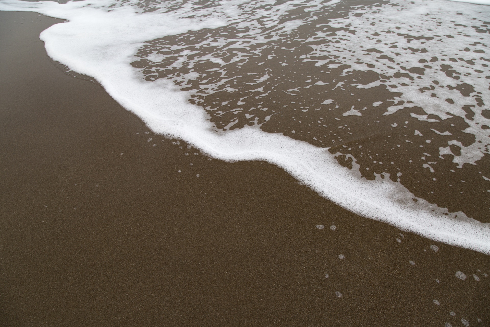 wave beach sea free photo