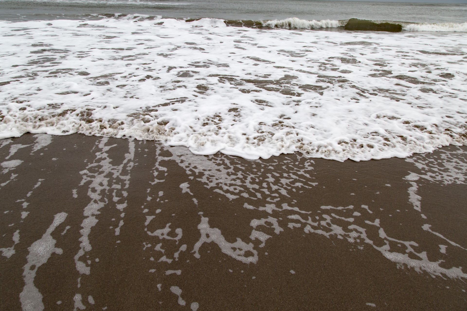 wave beach sea free photo