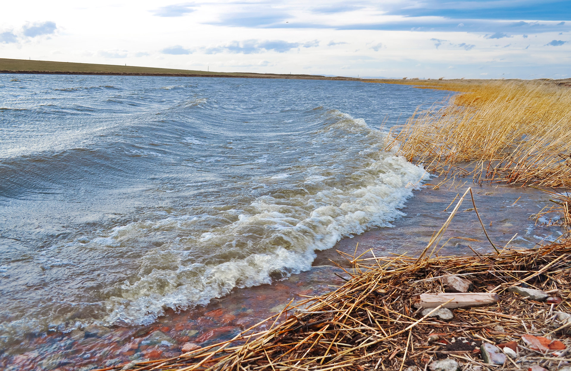 lake water wave free photo