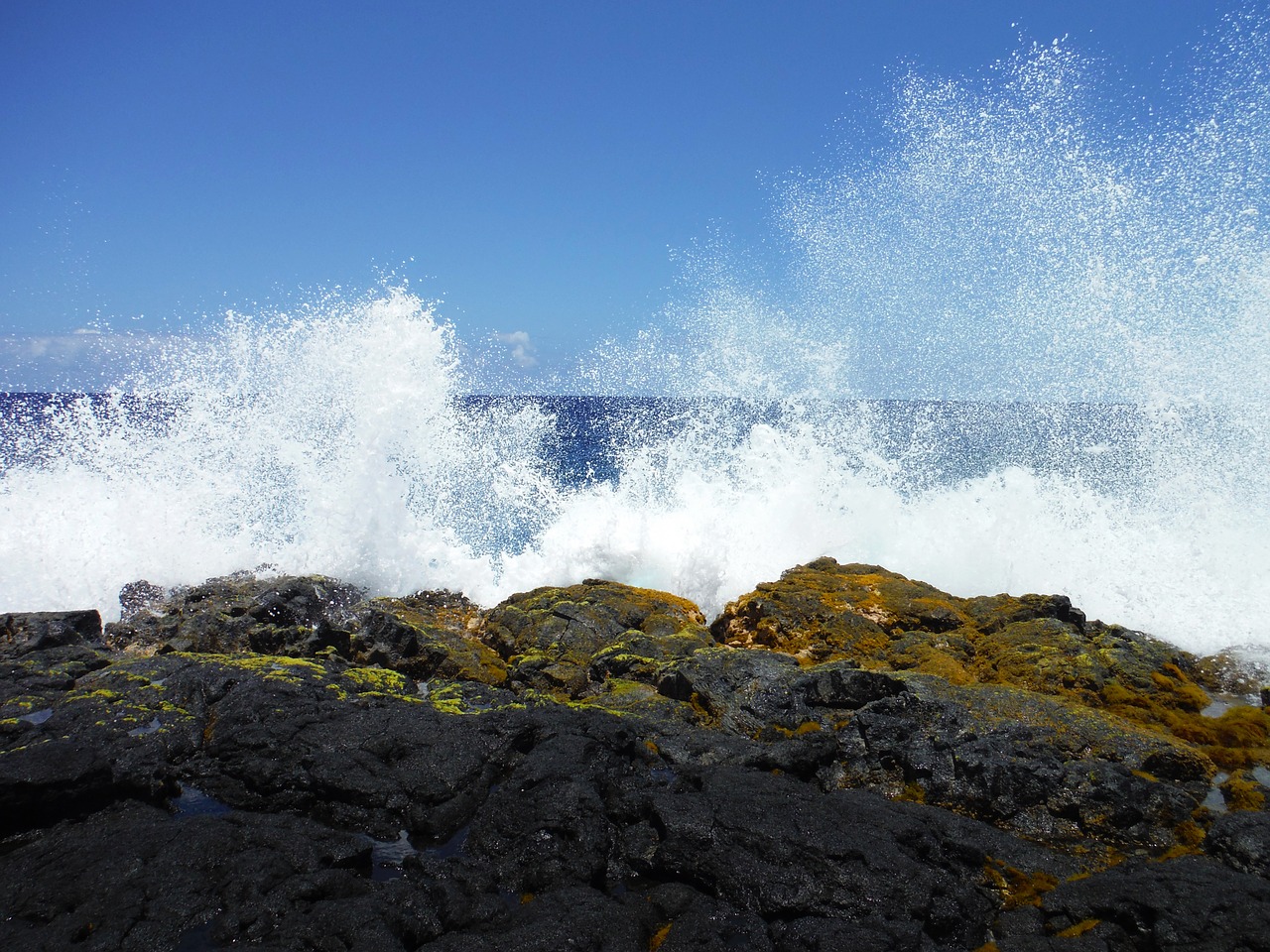 waves crashing ocean free photo