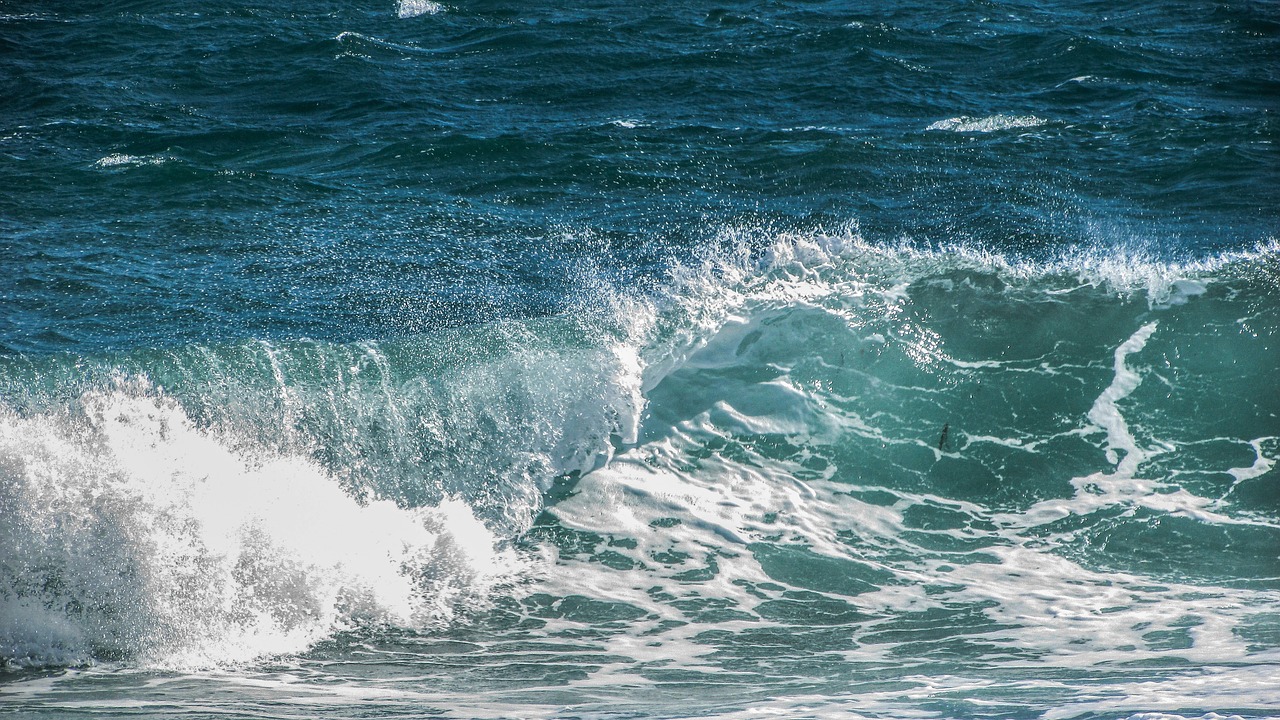 waves wind sea free photo