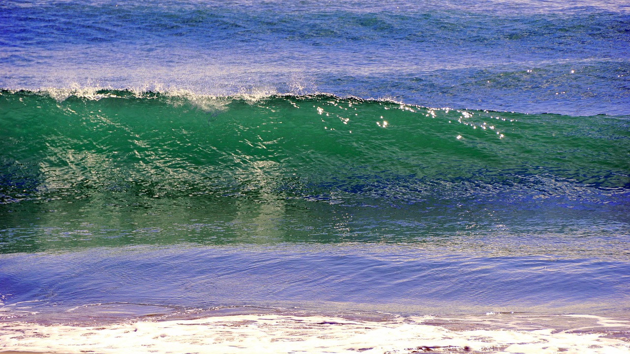 waves sea beach free photo