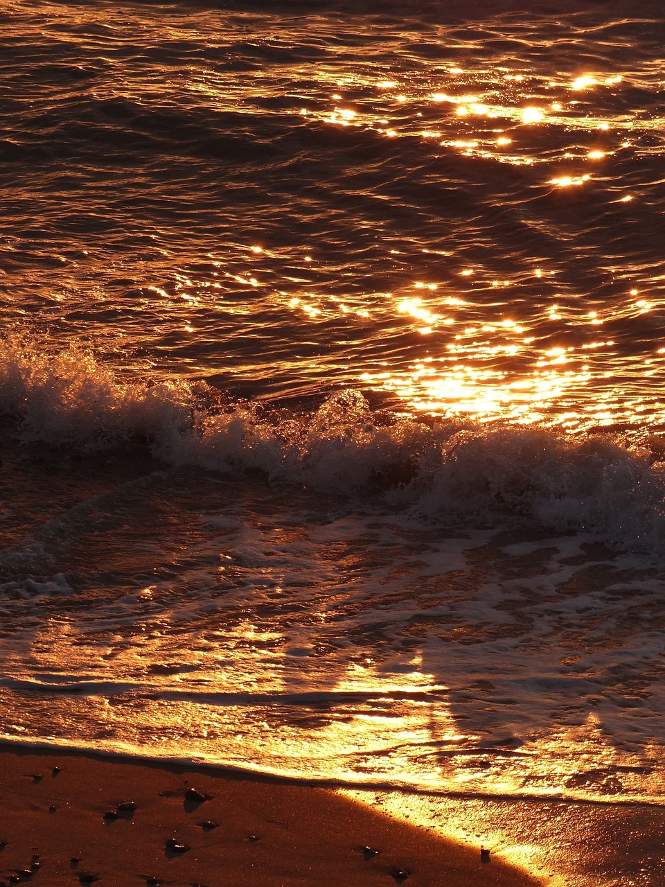 waves beach ocean free photo