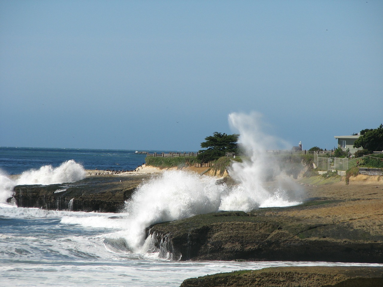 waves crashing beach free photo