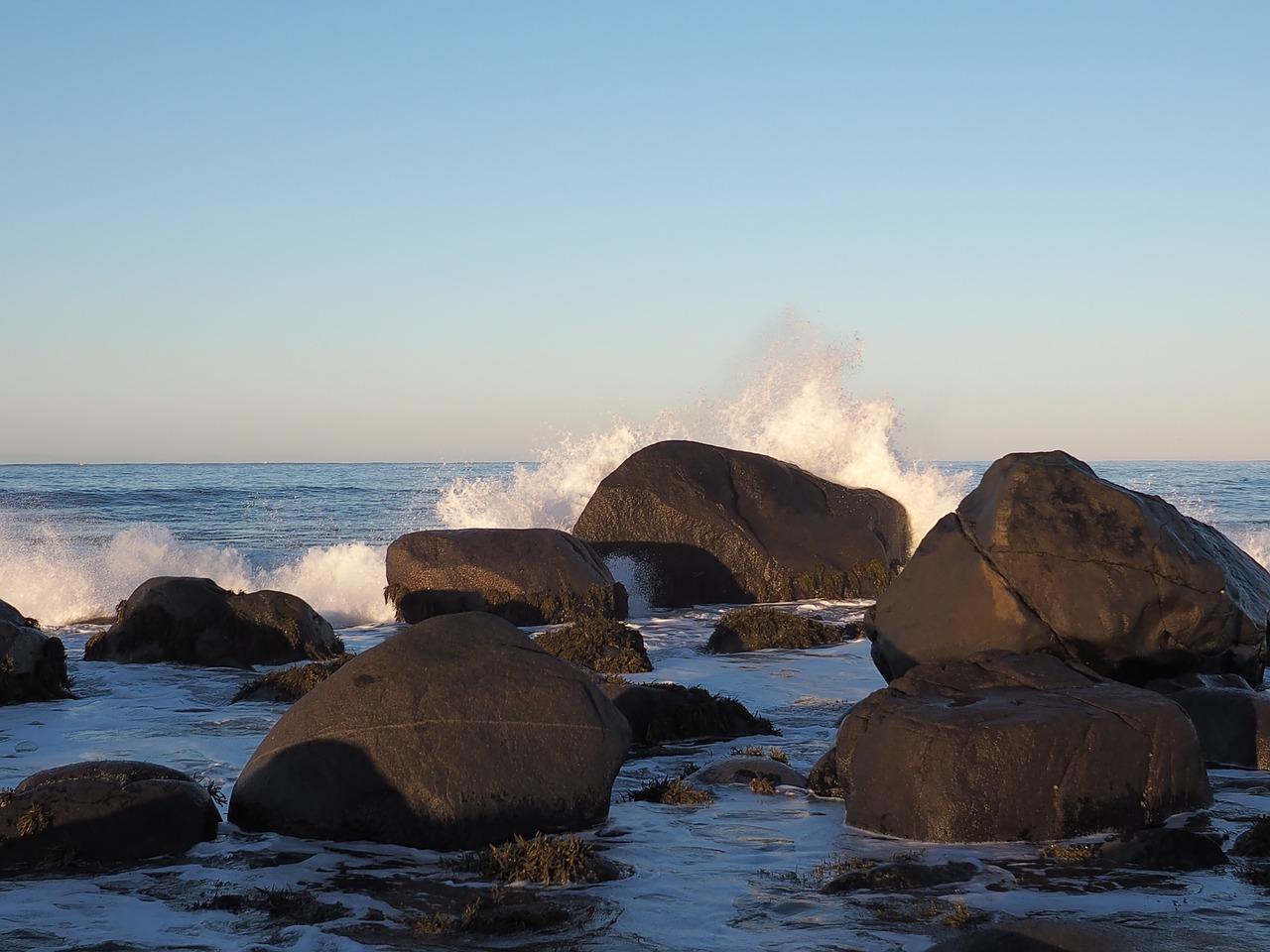 waves sea stone free photo