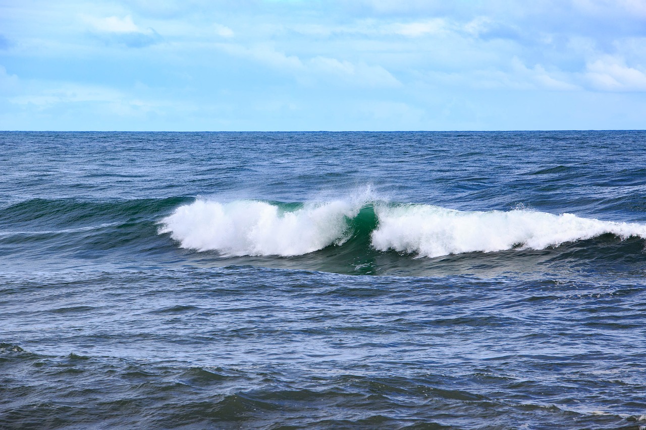 waves sea tasman free photo