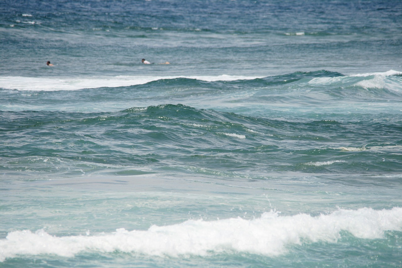 waves tide sea free photo