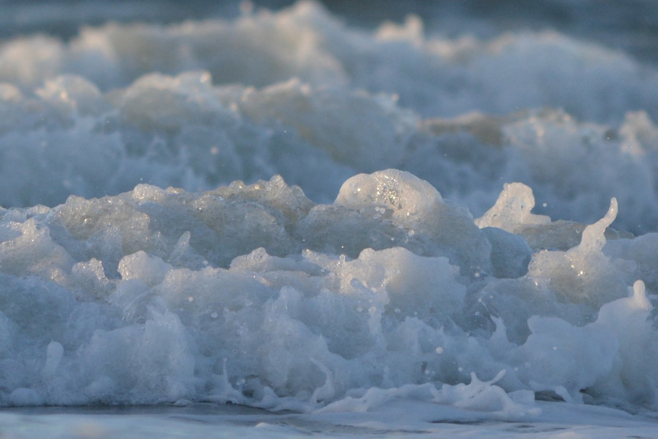 waves foam sea free photo