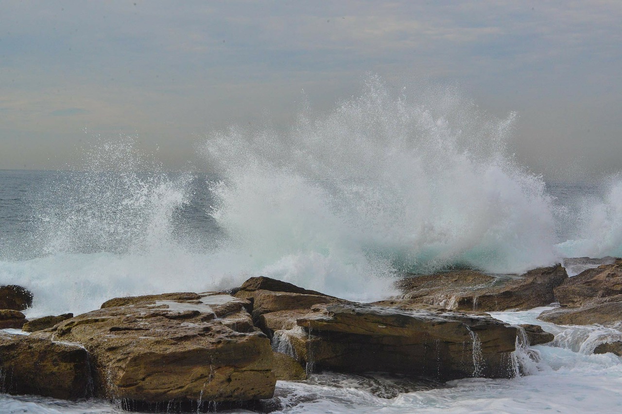 waves splash coogee free photo