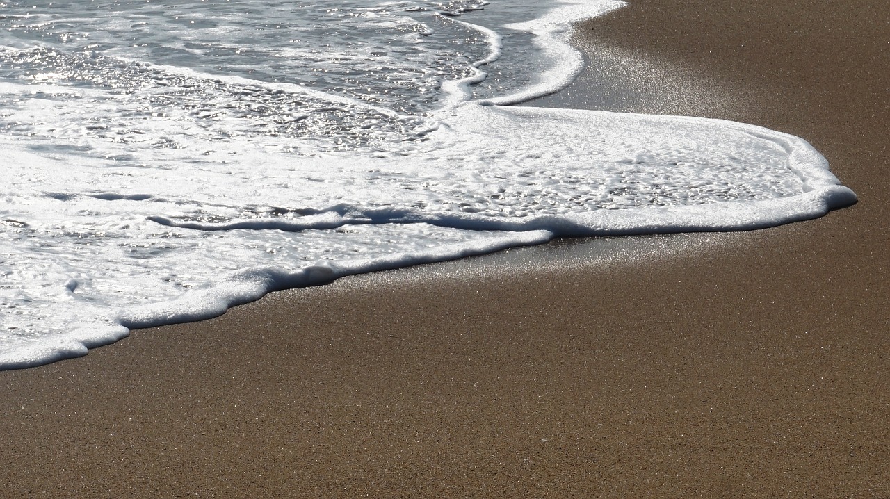 waves  gangneung  sand free photo