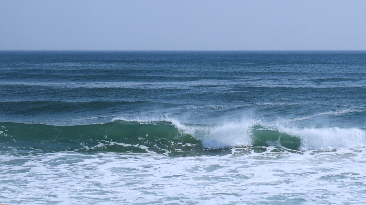 waves  gangneung  sand free photo