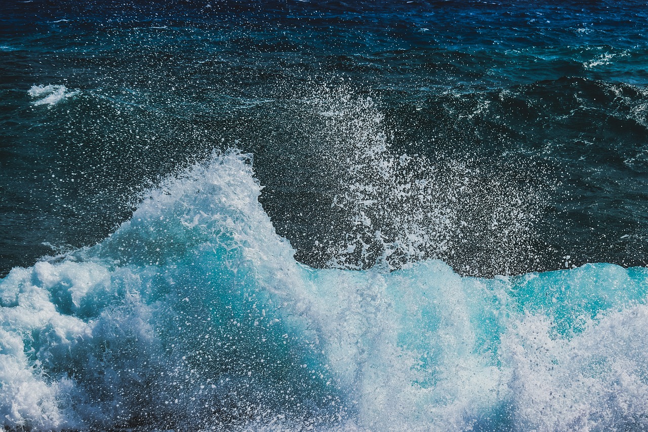 waves  splash  wind free photo