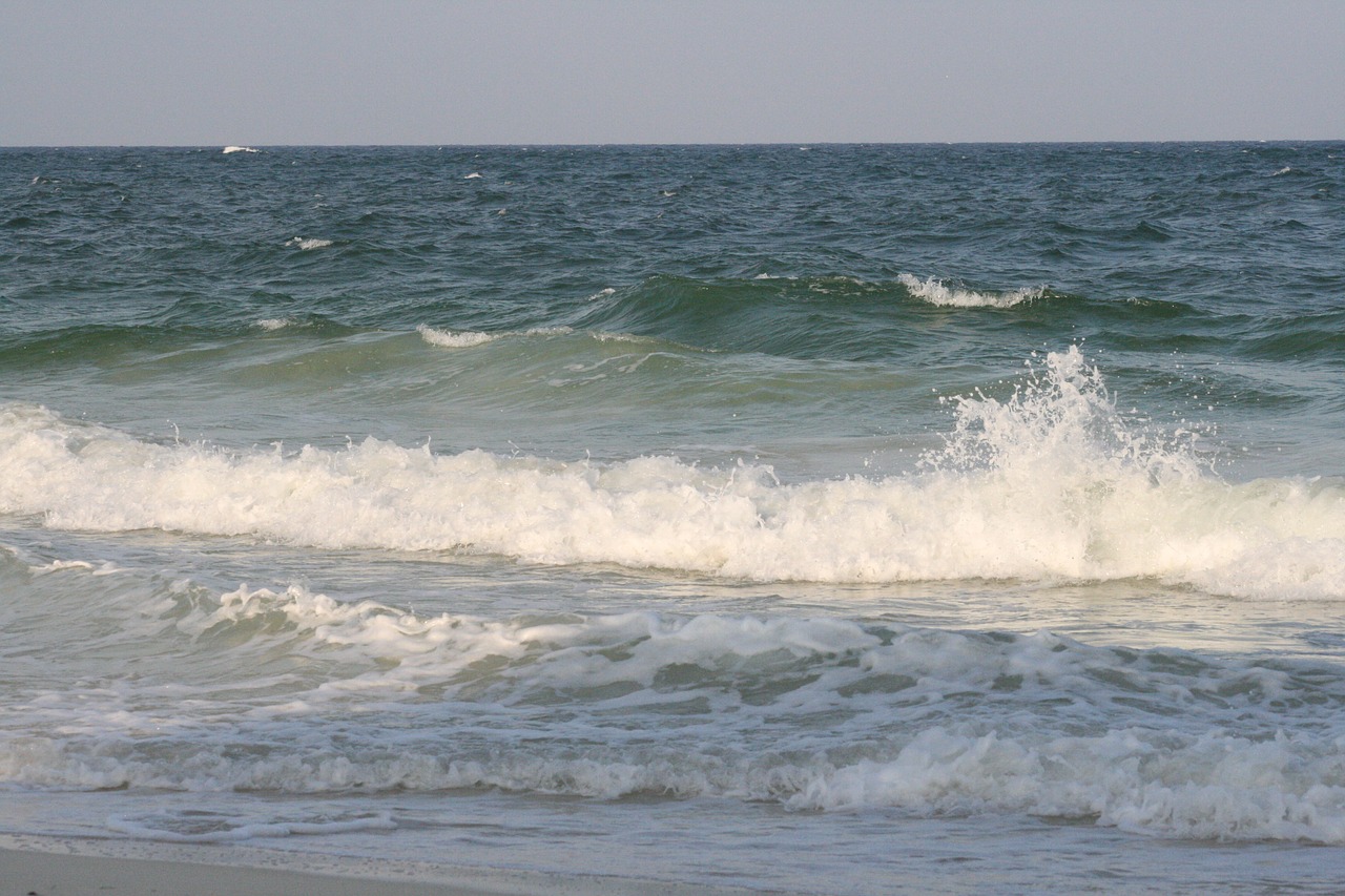 waves  oceans  beach free photo