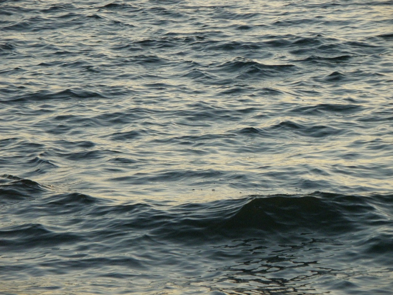waves surface sea free photo