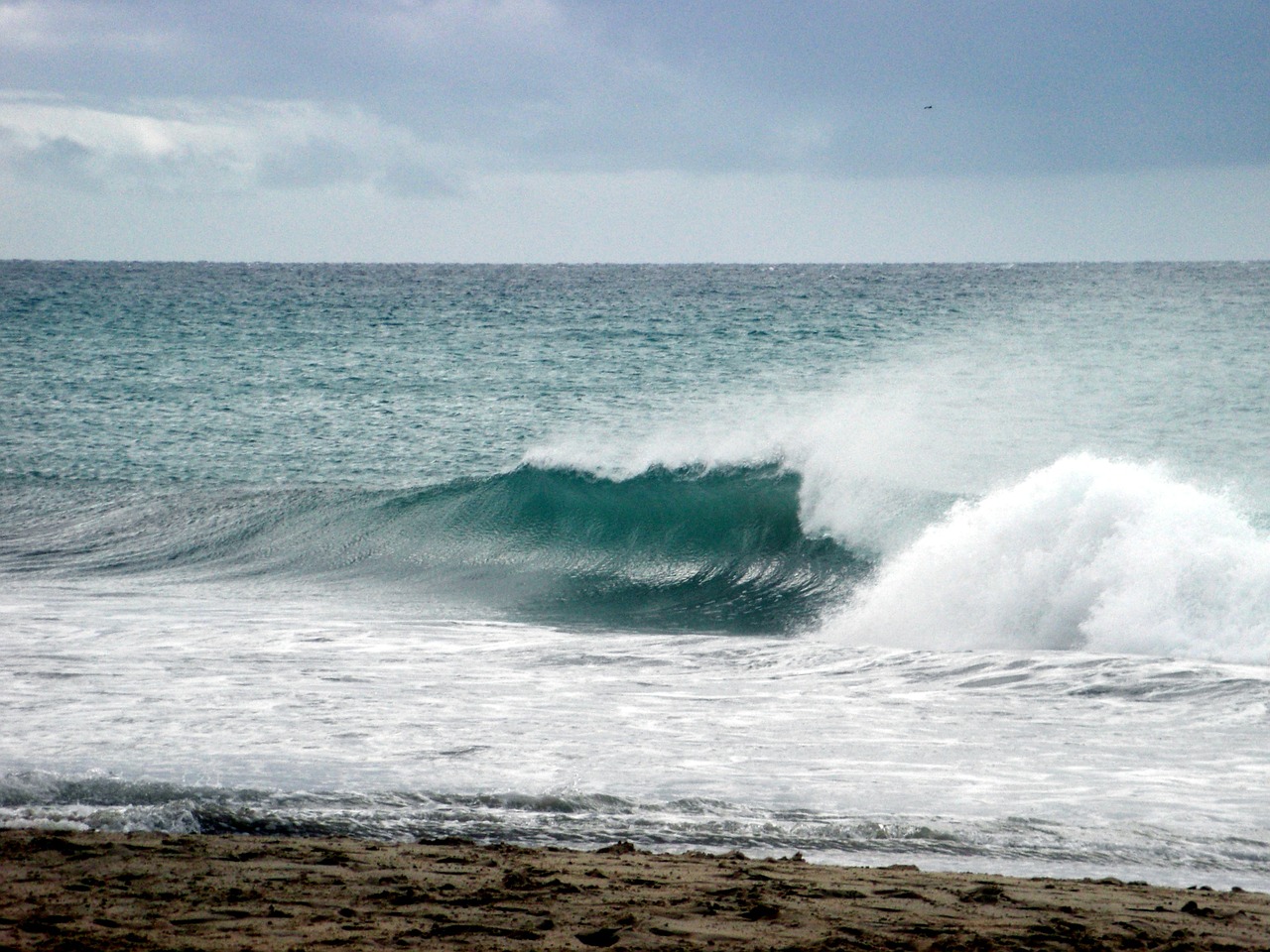 waves sea ocean free photo