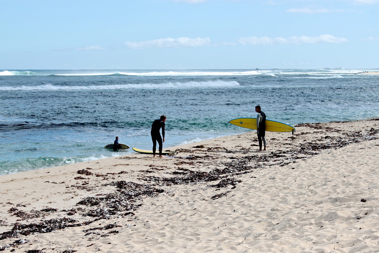 waves surfer surfboard free photo